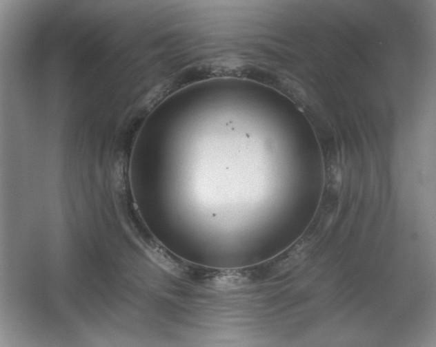 X0000067460468200604071133