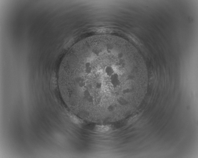 X0000067460469200604071133