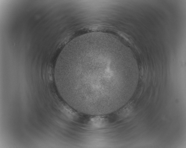 X0000067460470200604071133