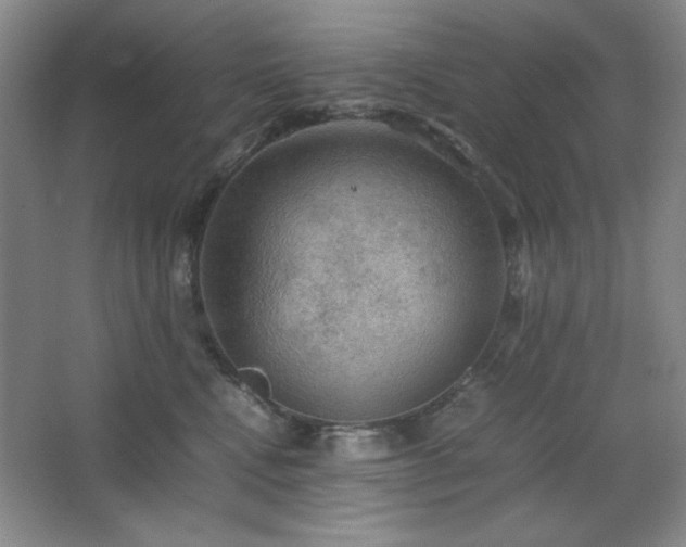 X0000067460472200604071133