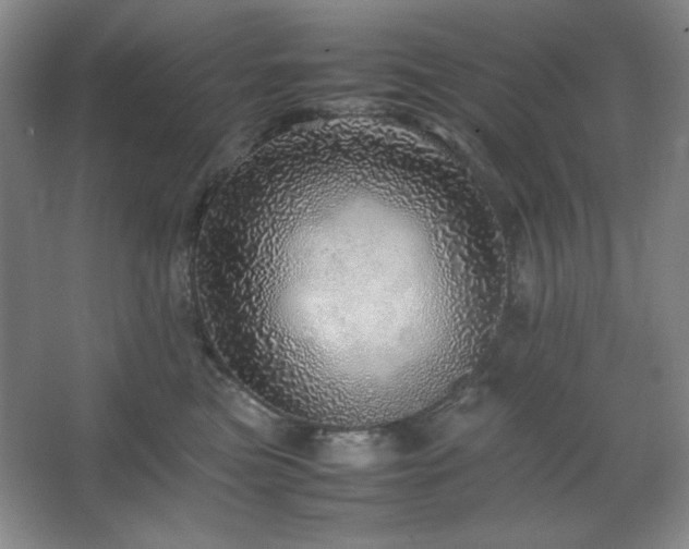 X0000067460473200604071133