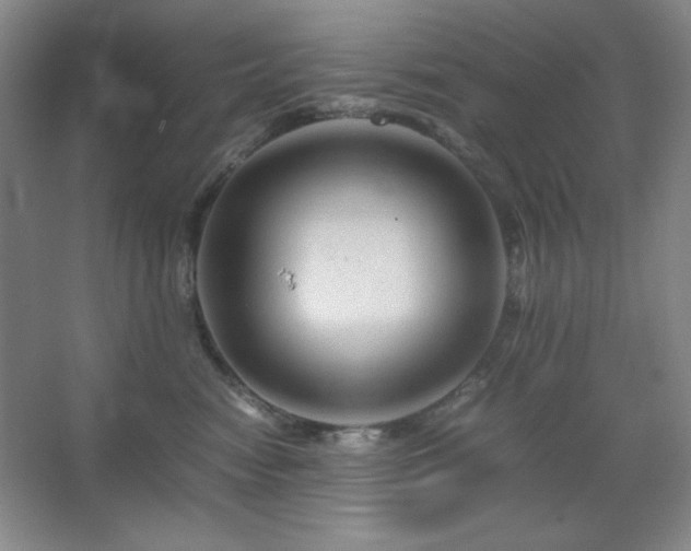 X0000067460474200604071133