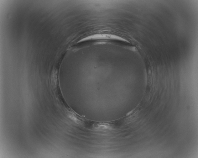 X0000067460475200604071133