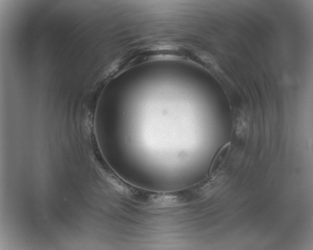 X0000067460476200604071133