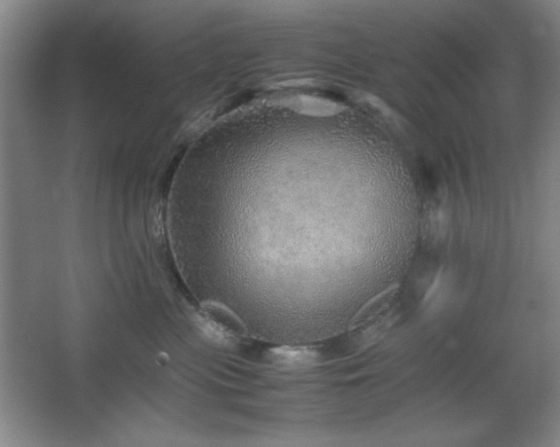 X0000067460477200604071133