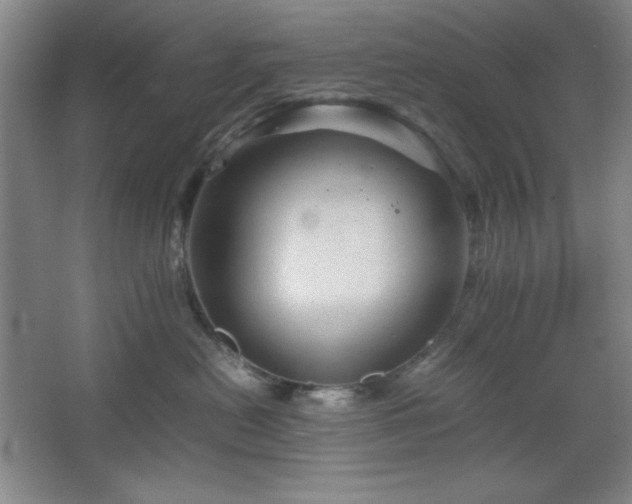 X0000067460478200604071133