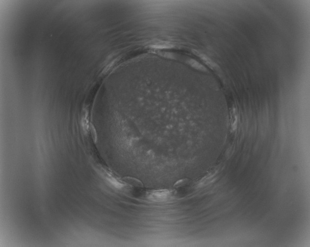 X0000067460479200604071133