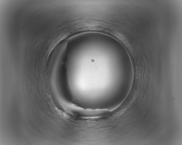 X0000067460481200604071132