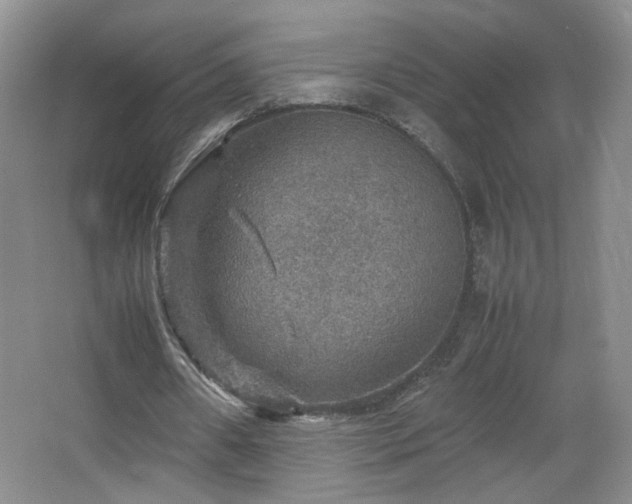 X0000067460482200604071132