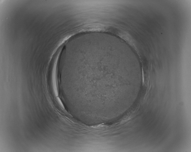 X0000067460483200604071132