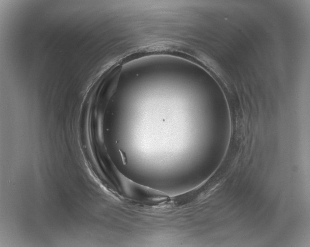 X0000067460485200604071132