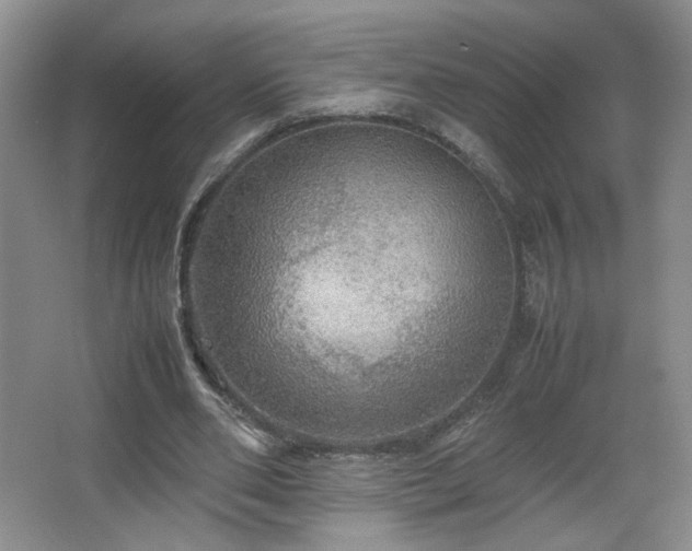 X0000067460486200604071132