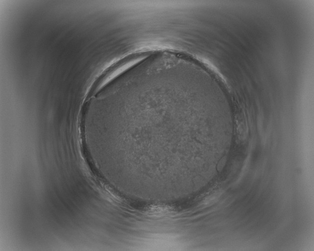 X0000067460487200604071132