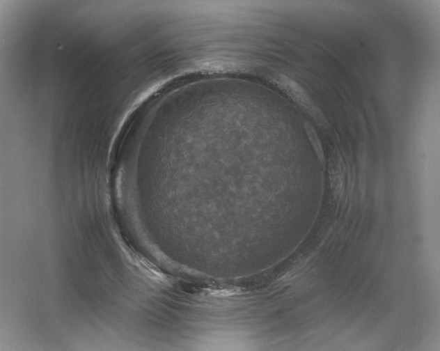 X0000067460488200604071132