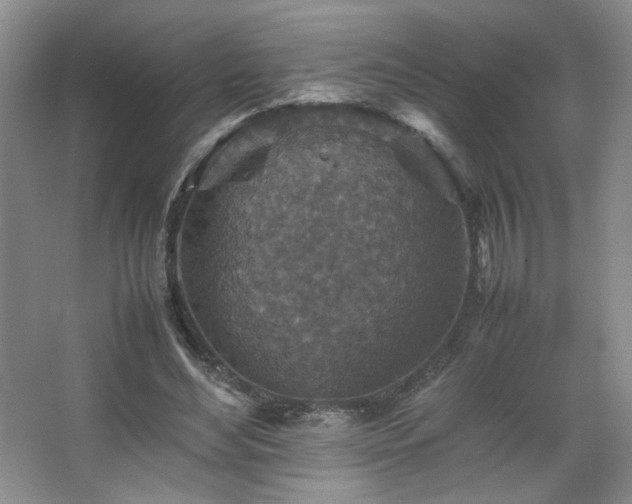 X0000067460492200604071132