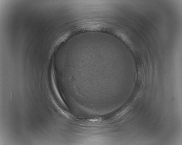 X0000067460493200604071132