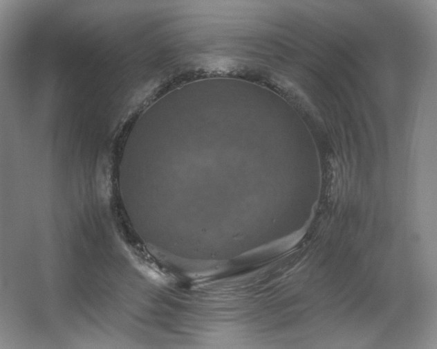 X0000067460496200604071132