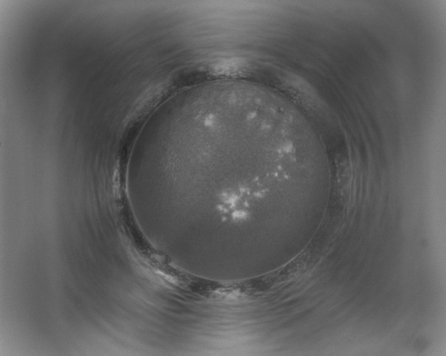 X0000067460502200604071132