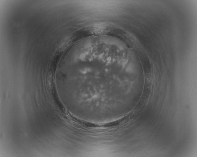 X0000067460503200604071132