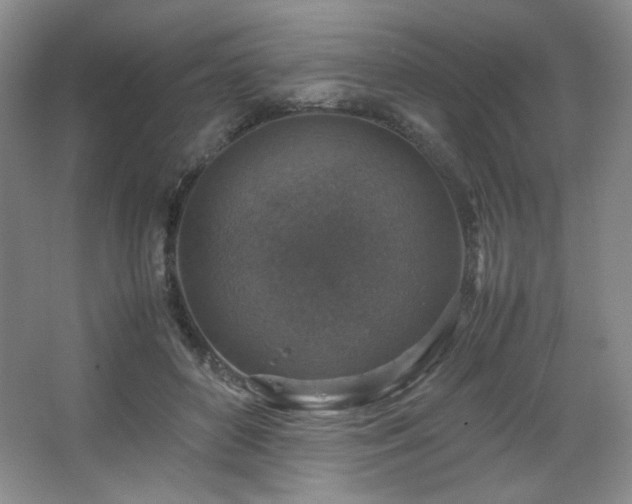 X0000067460504200604071132