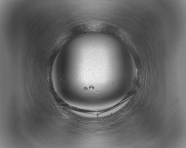 X0000067460505200604071132