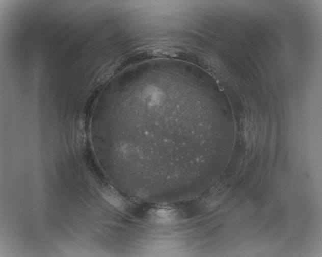 X0000067460506200604071132