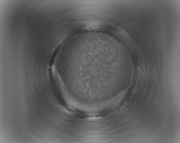 X0000067460508200604071132