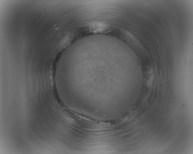 X0000067460510200604071131