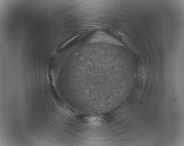 X0000067460512200604071131