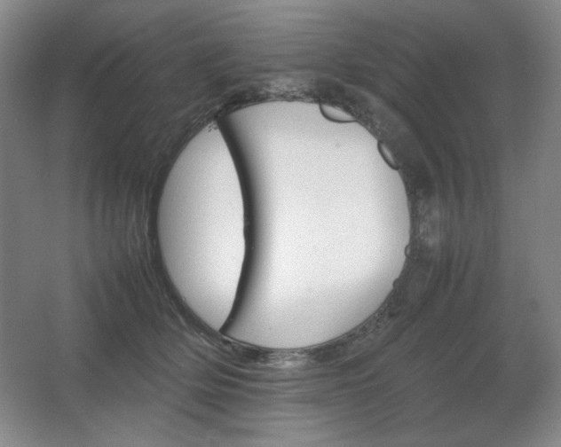 X0000067460514200604071131