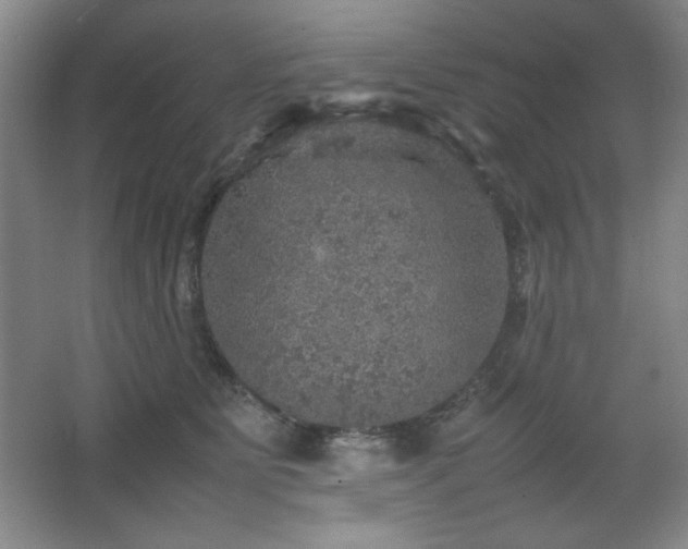 X0000067460515200604071131