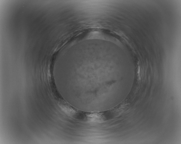 X0000067460516200604071131