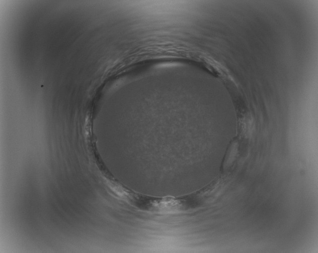 X0000067460517200604071131