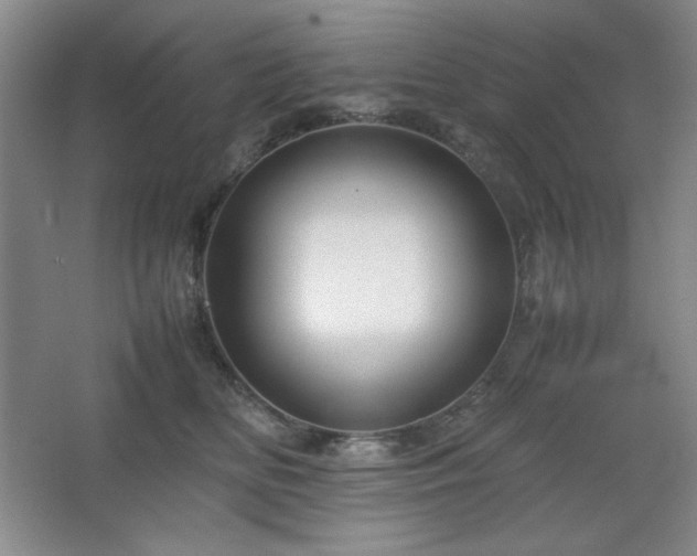 X0000067460518200604071131