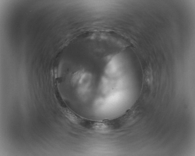 X0000067460519200604071131