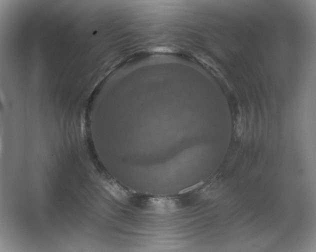 X0000067460520200604071131