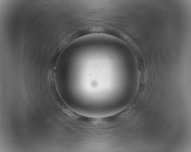 X0000067460521200604071131