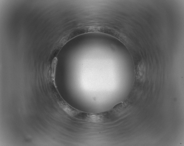 X0000067460522200604071131