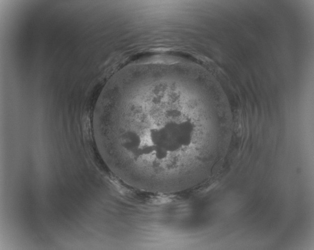 X0000067460523200604071131