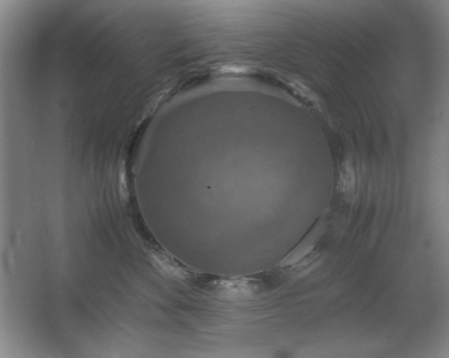 X0000067460524200604071131