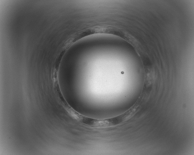 X0000067460525200604071131