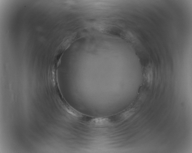 X0000067460526200604071131