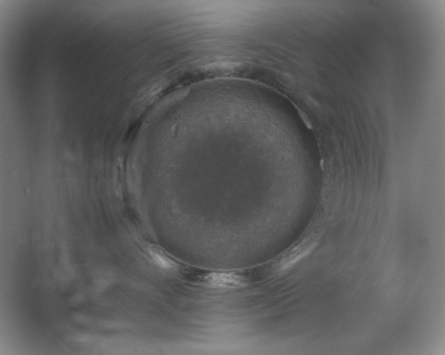 X0000067460528200604071131