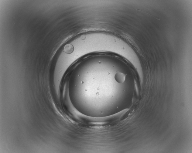 X0000067460534200604071130