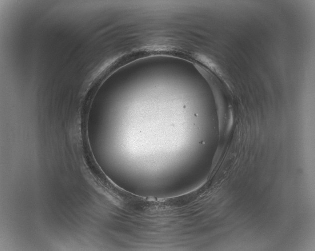 X0000067460535200604071130