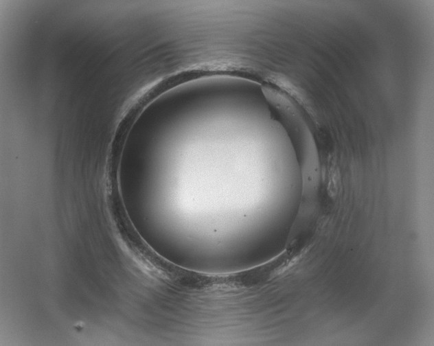 X0000067460536200604071130