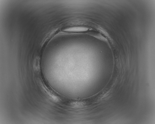 X0000067460537200604071130