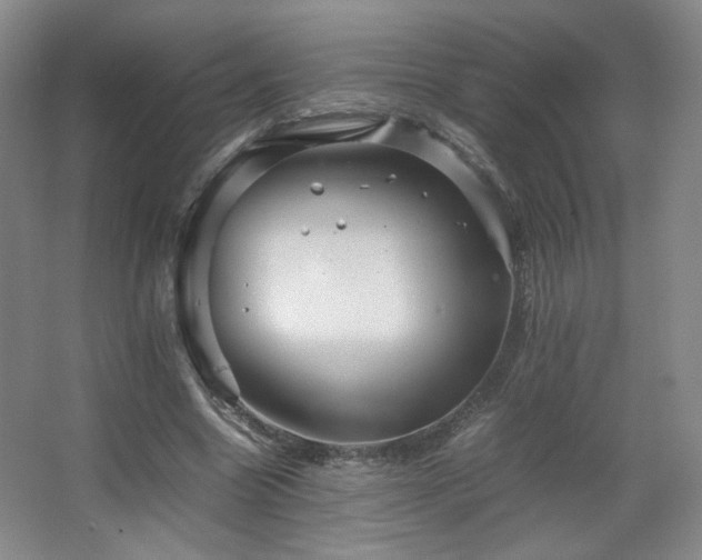 X0000067460538200604071131