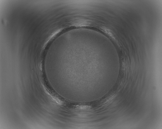 X0000067460539200604071131