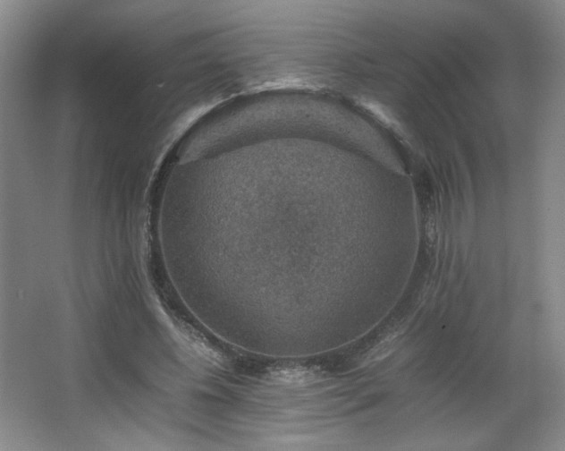 X0000067460540200604071131